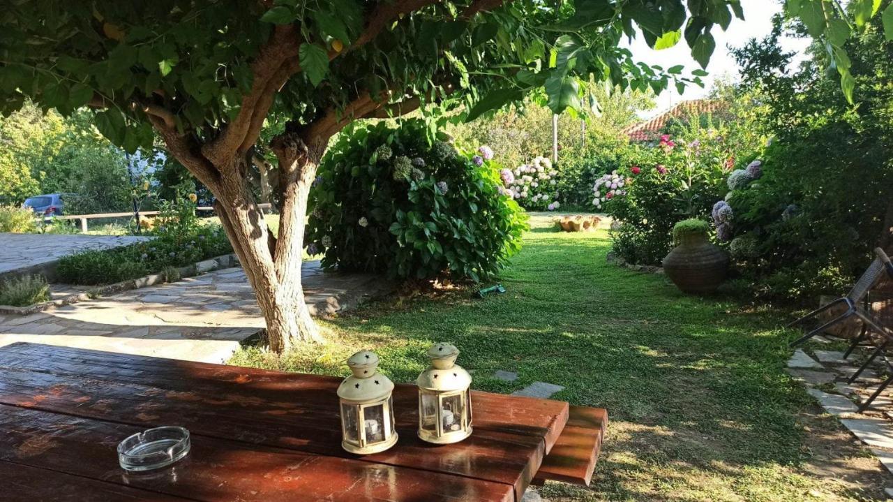 Mirsini Apartments Kariotes Esterno foto