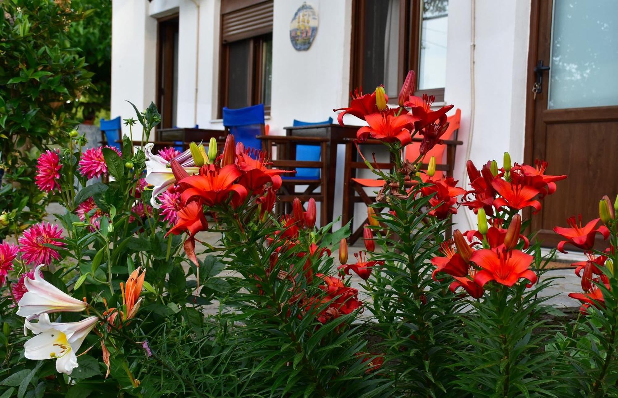 Mirsini Apartments Kariotes Esterno foto