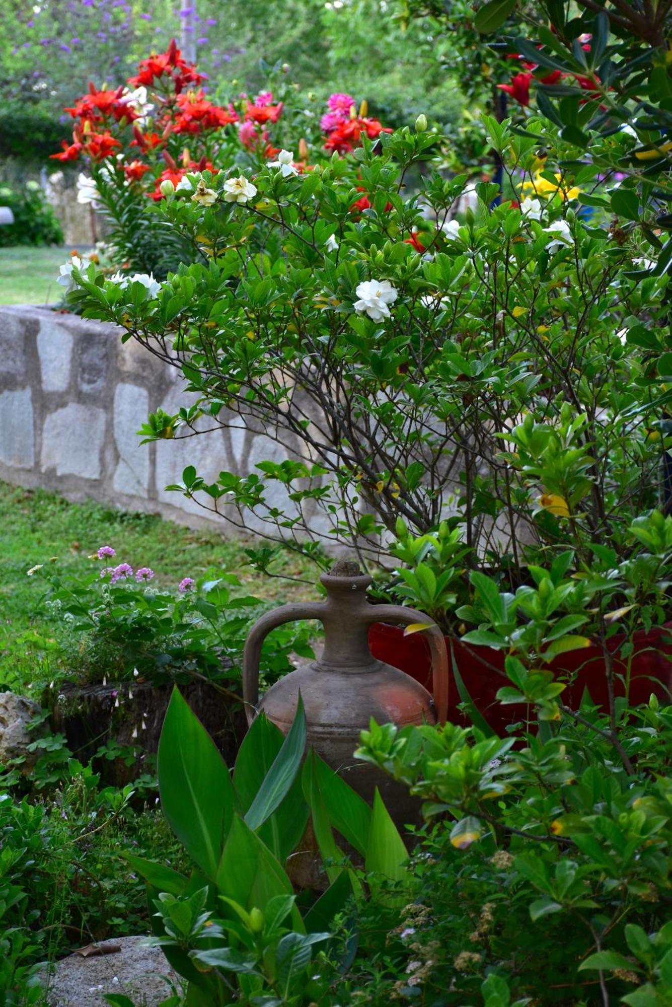 Mirsini Apartments Kariotes Esterno foto